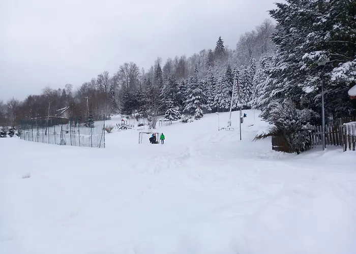 Apartment Miedzy Strumykami Korbielów